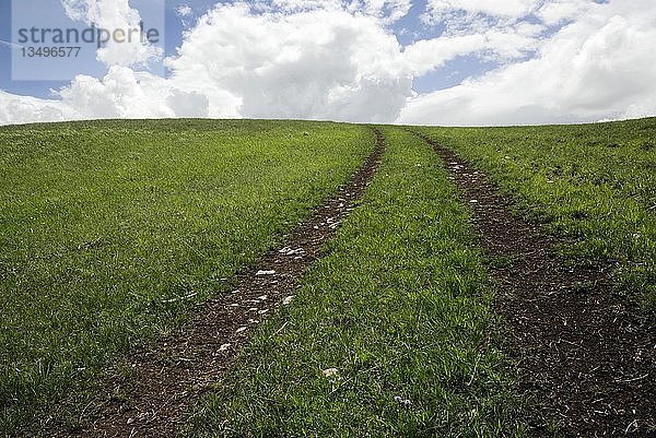 Weg zum Himmel  Radspuren in einem Feld  Campo Imperatore  Abruzzen  Italien  Europa