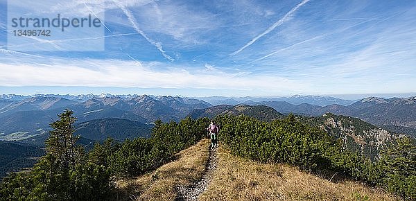 Wanderer beim Überqueren der Blauberge  vom Predigtstuhl über Blaubergschneid  Blaubergkopf und Karschneid zum Halserspitz  Wildbad Kreuth  Oberbayern  Bayern  Deutschland  Europa