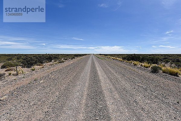 Lange gerade Schotterstraße durch die Pampa bis zum Horizont  Peninsula Valdes  Patagonien  Argentinien  Südamerika