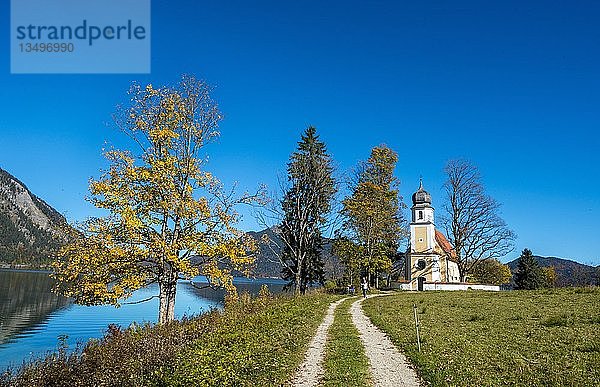 Kirche St. Margarethen im Herbst  Halbinsel Zwergern  Walchensee  Oberbayern  Bayern  Deutschland  Europa