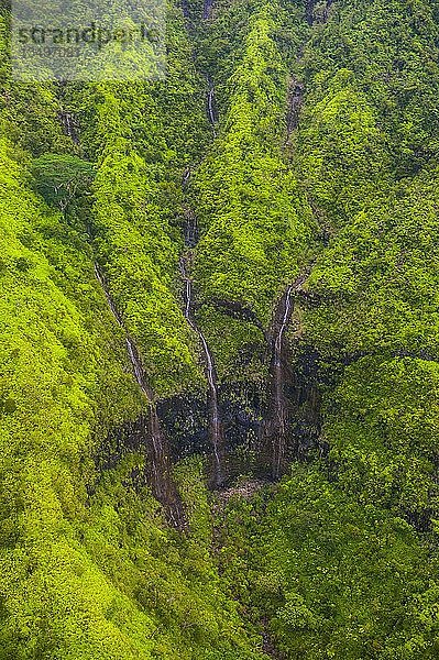 Luftaufnahme eines Wasserfalls im Inneren von Kauai  Hawaii  USA  Nordamerika