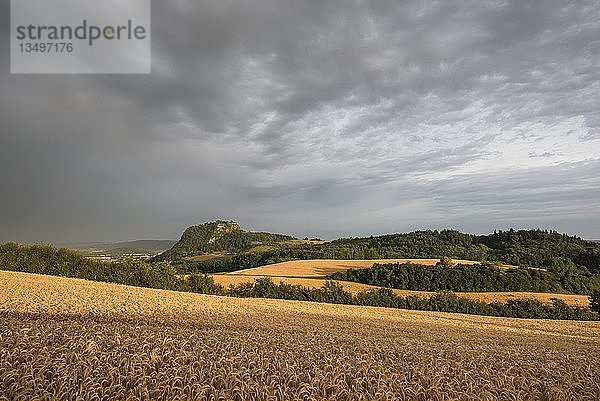 Getreidefelder im Hegau mit dem Hohentwiel-Vulkan  Konstanz  Baden-WÃ¼rttemberg  Deutschland  Europa