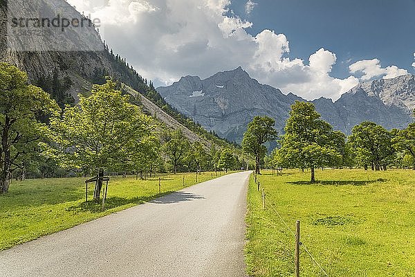 Straße nach HinterriÃŸ  Großer Ahornboden vor Karwendelgebirge  Eng  Tirol  Österreich  Europa