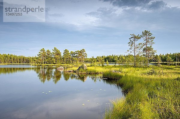 Ufer mit See Breksjoen  JÃ¤vrebyn  Lappland  Finnland  Europa