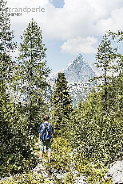 Wanderer schaut in die Landschaft  Wanderweg zum KÃ¤rlingerhaus  hinter dem Watzmann  Nationalpark Berchtesgaden  Berchtesgadener Land  Oberbayern  Bayern  Deutschland  Europa