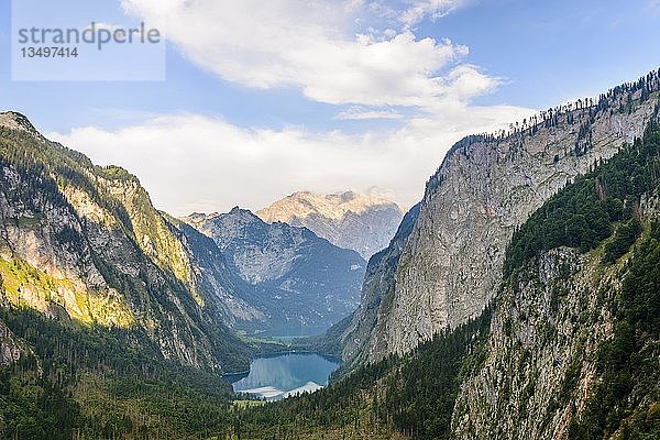 Blick vom Rothsteig zum Obersee  im Hintergrund der Königsee  Alpen  Berglandschaft  Nationalpark Berchtesgaden  Berchtesgadener Land  Oberbayern  Bayern  Deutschland  Europa