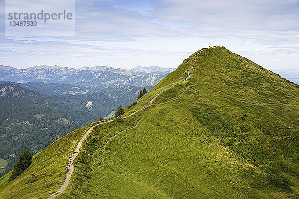 Wanderweg zum Gipfel  Grundkopf 1949m  Blick von der Bergstation Kanzelwand  AllgÃ¤uer Alpen  Kleinwalsertal  Vorarlberg  Ã-sterreich  Europa