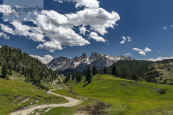 Kristallo-Massiv mit bewölktem Himmel  Plätzwiese  Dolomiten  Fanes-Nationalpark  Toblach  Italien  Europa