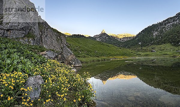 Schottmalhorn spiegelt sich im Funtensee bei Sonnenuntergang  Steinernes Meer  Nationalpark Berchtesgaden  Bayern  Deutschland  Europa