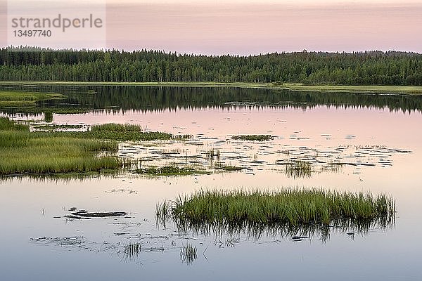 Sonnenuntergang am See  Seenlandschaft  Feuchtgebiete  Reflexion  Kiantajaervi  Ruhtinansalmi  Lappland  Finnland  Europa