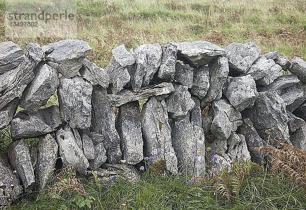 Mauer aus Felsblöcken  Irland  Europa