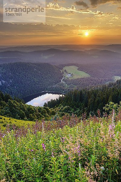 Blick vom Feldberg auf den Feldsee  Sonnenaufgang  Schwarzwald  Baden-WÃ¼rttemberg  Deutschland  Europa