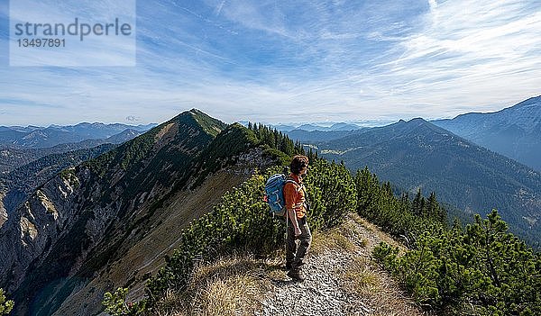 Wanderer beim Überqueren der Blauberge  vom Predigtstuhl über Blaubergschneid  Blaubergkopf und Karschneid zum Halserspitz  Wildbad Kreuth  Oberbayern  Bayern  Deutschland  Europa