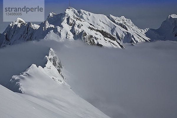 Schneebedeckter Gipfel über Hochnebel  Winterlandschaft  SÃ¤ntis  Appenzeller Alpen  Kanton St. Gallen  Schweiz  Europa