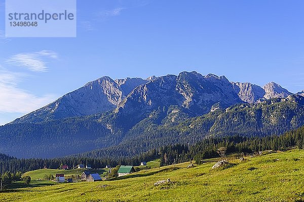 Siedlung Bosaca  Durmitor-Massiv  Durmitor-Nationalpark  bei Zabljak  Montenegro  Europa