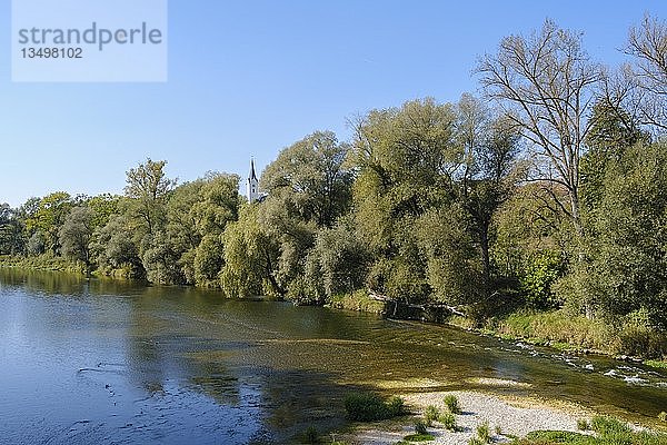 Isar  Kirche St. Laurentius im Hintergrund  Volkmannsdorf bei Wang  Isarauen  Landkreis Freising  Oberbayern  Bayern  Deutschland  Europa