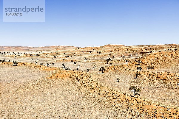 Luftaufnahme  überwucherte Dünen  Ausläufer der Namib-Wüste  Namib-Naukluft-Nationalpark  Namibia  Afrika