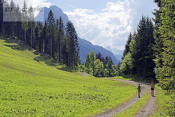 Wanderer mit Blick auf den GroÃŸen Waxenstein  Hammerbach  Landkreis Garmisch-Partenkirchen  Oberbayern  Bayern  Deutschland  Europa
