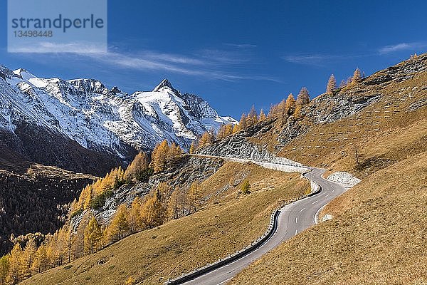 Großglockner Hochalpenstraße führt durch herbstliche Berglandschaft  herbstliche Lärchen vor dem schneebedeckten Großglockner  Nationalpark Hohe Tauern  Kärnten  Österreich  Europa