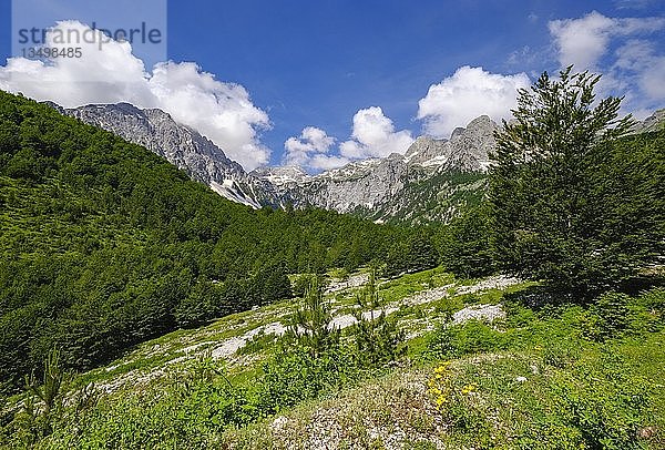 Kukaj-Tal mit Jezerca  Maja e Jezercës  Valbona-Nationalpark  Albanische Alpen  Prokletije  Qar Kukes  Albanien  Europa