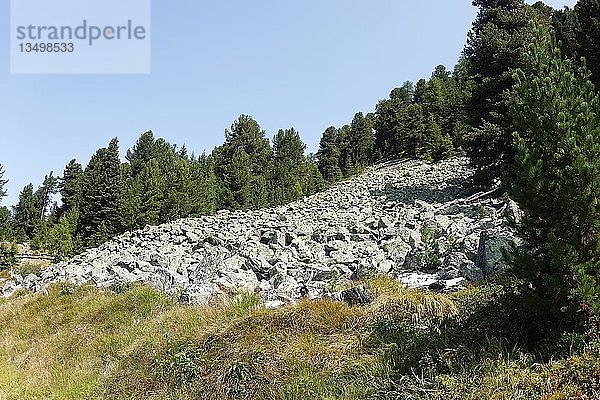 Abgehender Bergsturz  Plamorter Moosbiotop  Reschenpass  Vinschgau  Südtirol  Italien  Europa