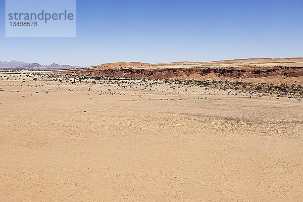 Luftaufnahme  versteinerte Dünen  Namib Desert Lodge  Namib-Wüste  Namib-Naukluft-Nationalpark  Namibia  Afrika