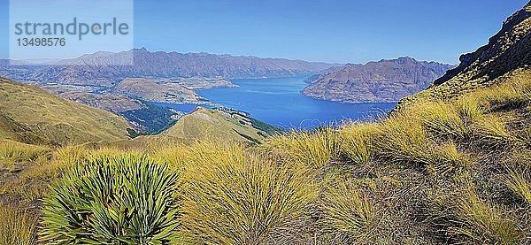Panoramablick vom Gipfel des Ben Lomond  Lake Wakatipu  The Remarkables  Queenstown  Region Otago  Südinsel  Neuseeland  Ozeanien