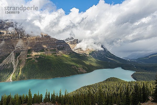 Wolken hängen in Bergspitzen  türkisfarbener Gletschersee umgeben von Wald  Peyto Lake  Rocky Mountains  Banff National Park  Provinz Alberta  Kanada  Nordamerika