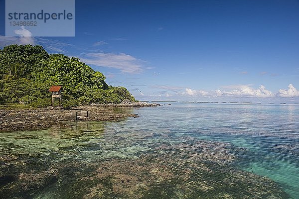 Klares Wasser auf der Vogelinsel  Tikehau  Tuamotu-Archipel  Französisch-Polynesien  Ozeanien