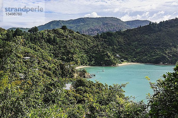 Blick über die Marlborough Sounds  Südinsel  Neuseeland  Ozeanien