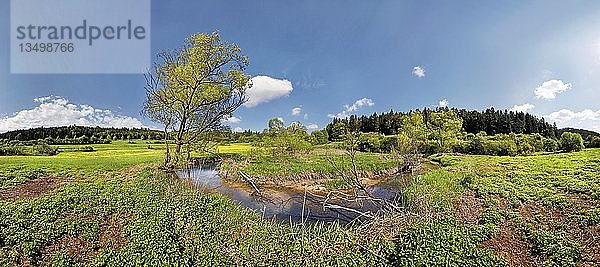 'Schleife des Morsbachs  unberührte Natur  ''Ritter- und RÃ¶merweg'' bei Emsing  Titting  Naturpark AltmÃ¼hltal  Bayern  Deutschland  Europa''