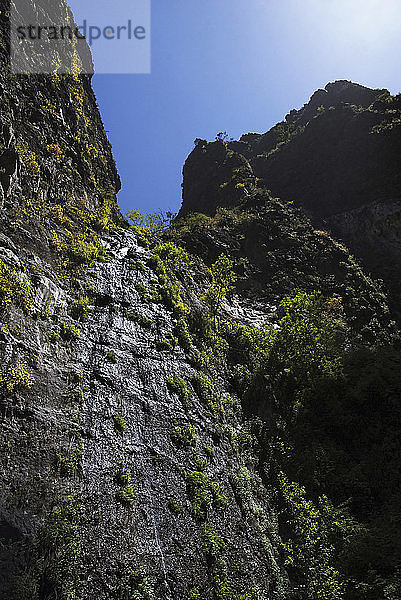 Wasserfall in der Schlucht Barranco del Infierno  Insel Teneriffa  Kanarische Inseln  Spanien  Europa