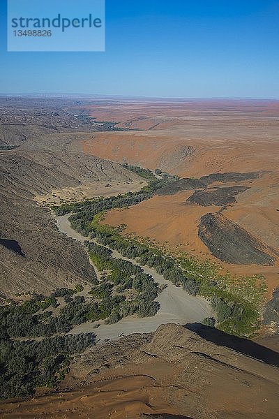 Luftaufnahme eines grünen Canyons am Rande der Namib-Wüste  Namibia  Afrika