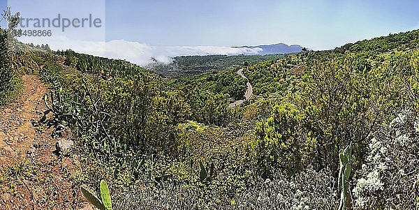 Canada Grande  Agulo  La Gomera  Kanarische Inseln  Spanien  Europa