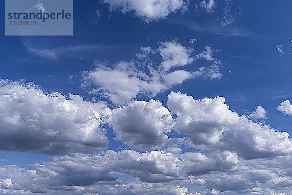 Kumuluswolken (Cumulus)  Hintergrundbild  Deutschland  Europa