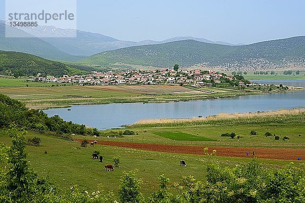 Dolna Gorica am Prespa-See  Nationalpark Prespa  Albanien  Europa