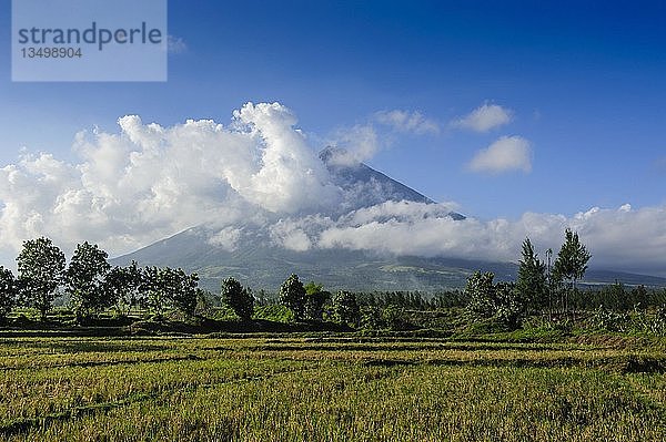 Vulkan Mayon  Legazpi  Südliches Luzon  Philippinen  Asien