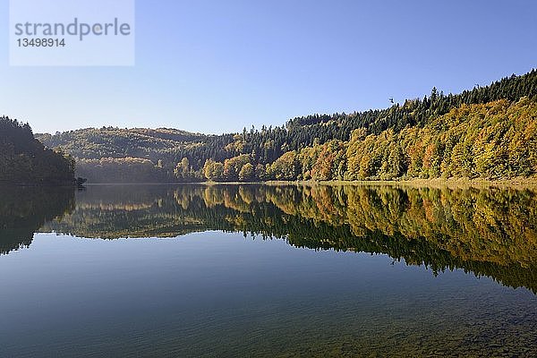 Herbstliche Waldspiegelung im Hennesee  Hennetalsperre  Naturpark Sauerland-Rothaargebirge  Nordrhein-Westfalen  Deutschland  Europa