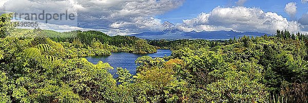 Dschungelwald mit See Lake Mangammahoe und Vulkan Mount Taranaki  Whanganui National Park  Nordinsel  Neuseeland  Ozeanien