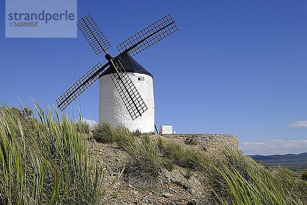 Windmühle  Route des Don Quijote  Consuegra  Provinz Toledo  Kastilien-La Mancha  Spanien  Europa