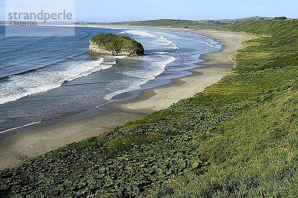 Einsamer Strand an der WestkÃ?ste  Cocotue  ChiloÃ© Island  Chile  SÃ?damerika