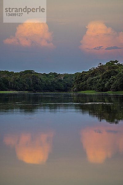 Landschaft mit Wolken über dem Rio Negro im südlichen Pantanal  Fazenda Barranco Alto  Pantanal  Mato Grosso do Sul  Brasilien  Südamerika