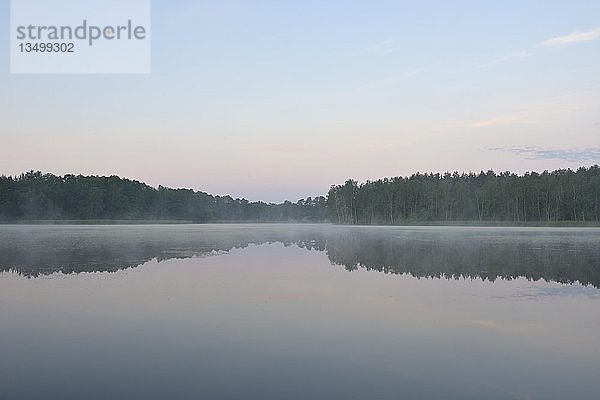 Morgennebel über einem See  Biosphärenreservat Oberlausitzer Heide- und Teichlandschaft  Sachsen  Deutschland  Europa