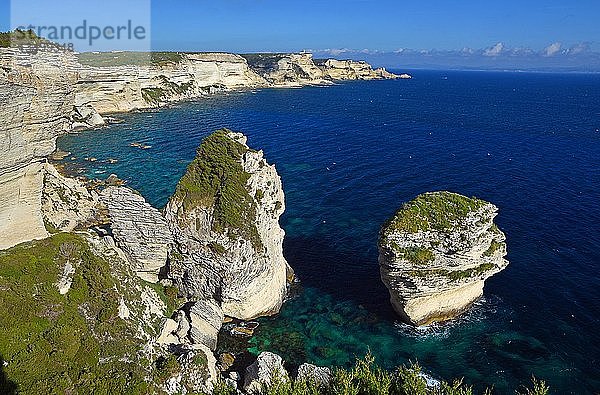 Grain du Sable  schroffe Kreidefelsen und türkisblaues Meer  Felsen  Bonifacio  Korsika  Frankreich  Europa