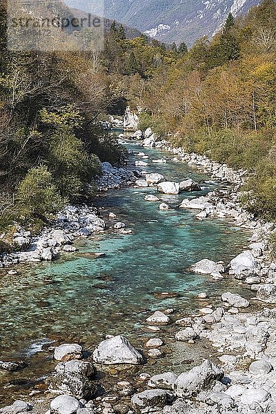 Soca-Fluss  herbstliches Soca-Tal  Kobarid  Slowenien  Europa