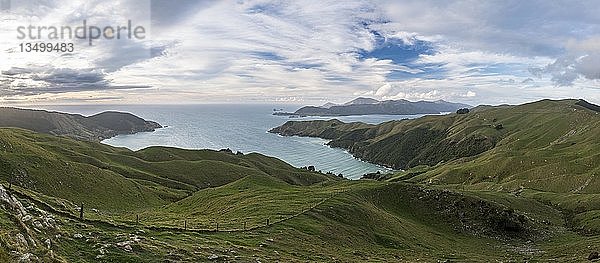 Blick auf Wiesen und felsige Küste am French Pass  Region Marlborough  Marlborough Sounds  Picton  Südinsel  Neuseeland  Ozeanien