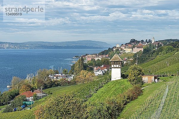 Historisches Rebgut Haltnau am Bodensee  mit der Stadt Meersburg am Bodensee auf der rechten Seite  Bodensee  Meersburg  Baden-WÃ¼rttemberg  Deutschland  Europa