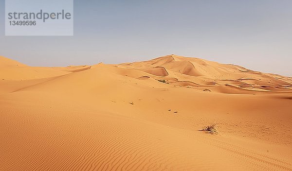 Sanddünen in der Wüste  Dünenlandschaft Erg Chebbi  Merzouga  Sahara  Marokko  Afrika