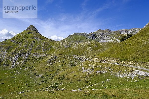 Berg Stozina  Passstraße P14 im Durmitor-Massiv  Durmitor-Nationalpark  bei Zabljak  Montenegro  Europa