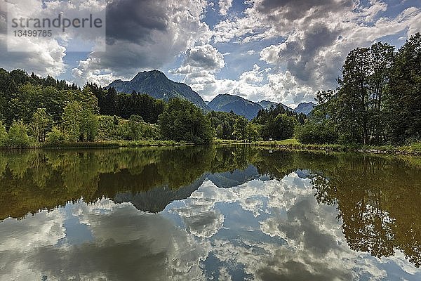 Moor  Sumpfteich  Wasserspiegelung  hinter AllgÃ¤uer Alpen  Oberstdorf  OberallgÃ¤u  AllgÃ¤u  Bayern  Deutschland  Europa